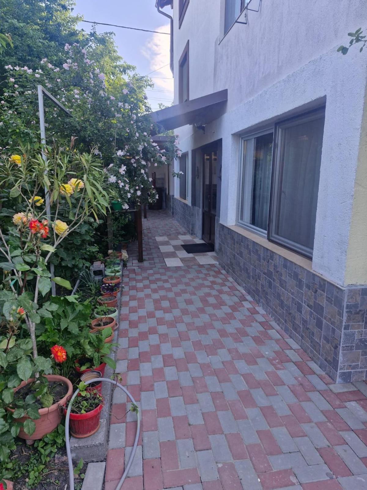 Casa Donau Delta Sulina Exterior foto